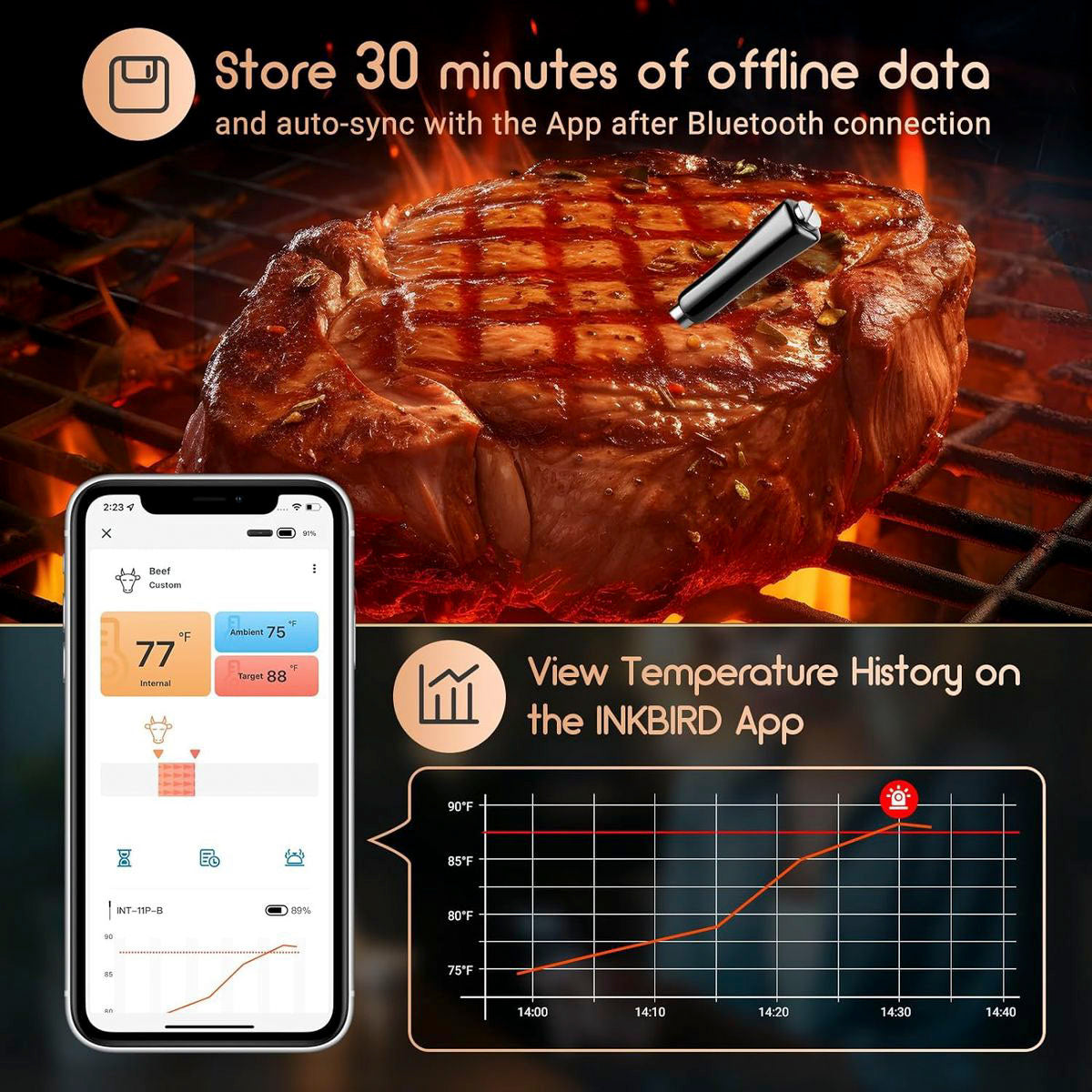 Inkbird INT-11P-B True Wireless Meat Thermometer